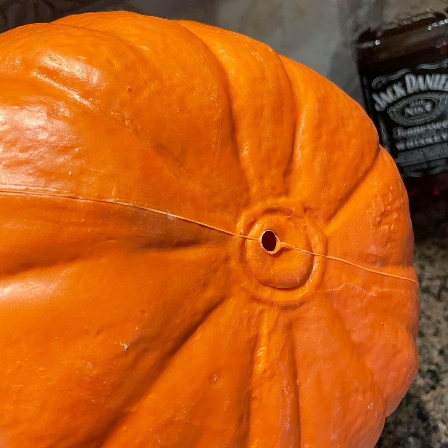 Jack Daniel’s Promotional Halloween Pumpkin - The Whiskey Cave