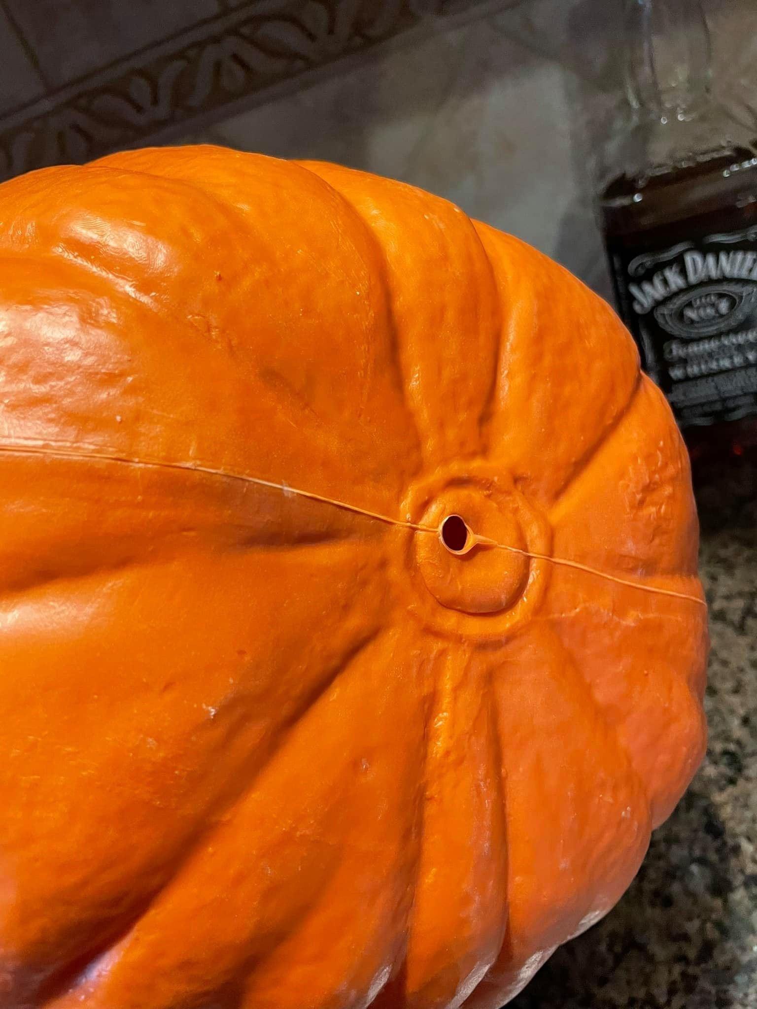 Jack Daniel’s Promotional Pumpkin - The Whiskey Cave