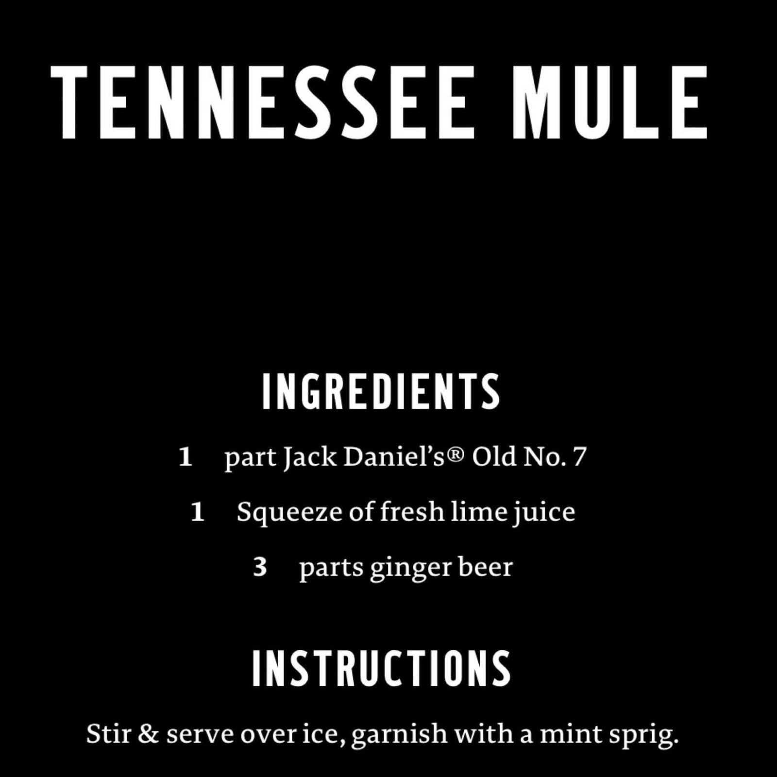 Jack Daniel’s Stainless Tennessee Mule Mug - The Whiskey Cave